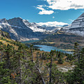 Hidden Lake Overlook Glacier National Park